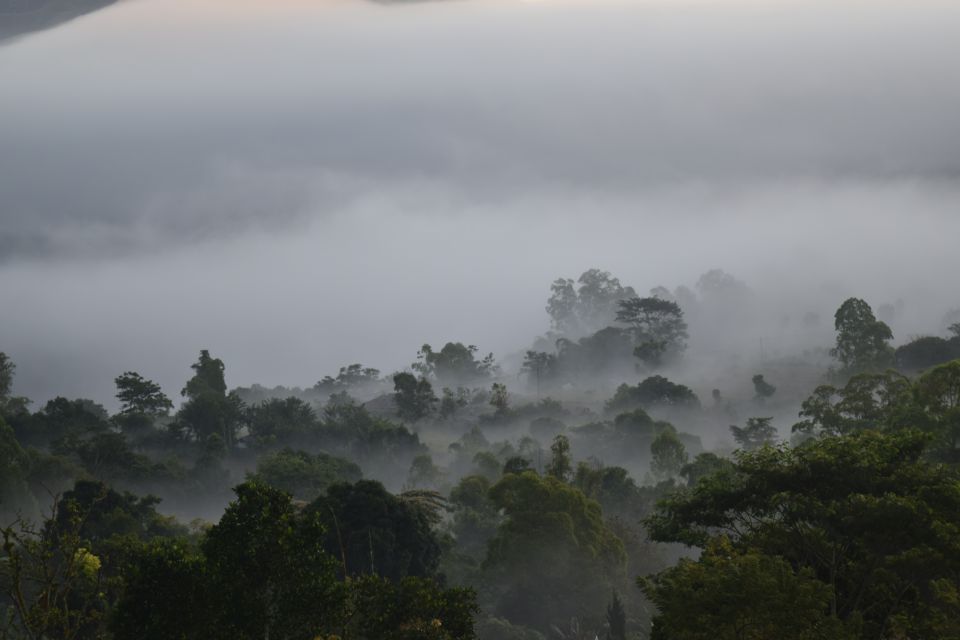 1 ubud volcano hot springs tours Ubud & Volcano Hot Springs Tours