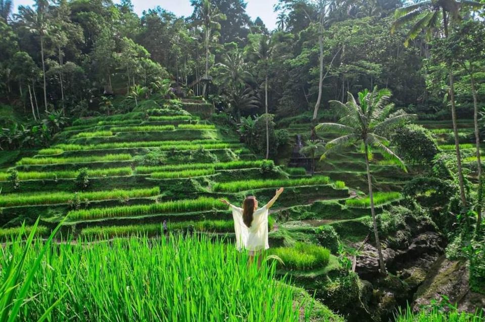 1 ubudmonkey forestrice terracestemple waterfalls tours Ubud:Monkey Forest,Rice Terraces,Temple & Waterfalls Tours