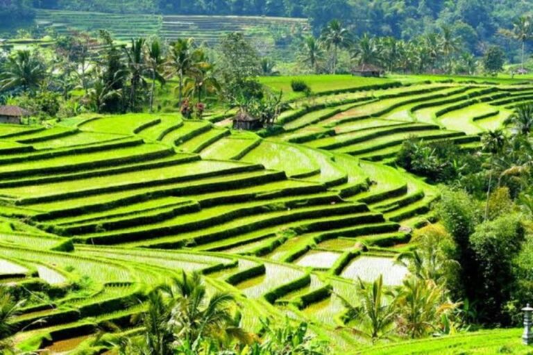 Ubud:Private Exotic Waterfalls,Rice Terraces,Temple & Swing