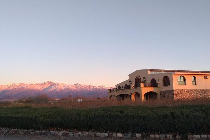 Uco Valley Private Wine Tasting Tour  – Mendoza