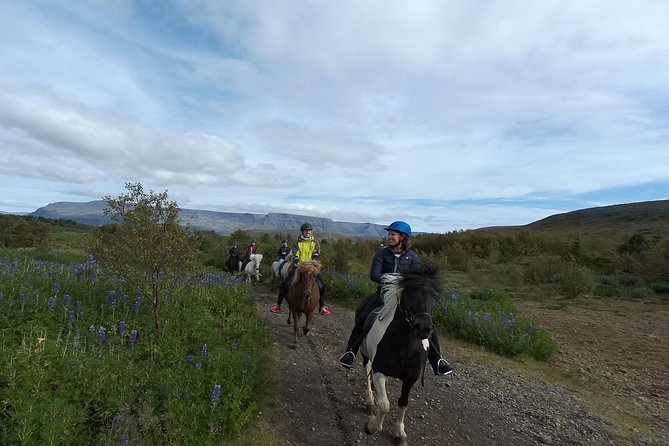 Ulfarsfell Mountain Private Horse-Riding Tour From Reykjavik