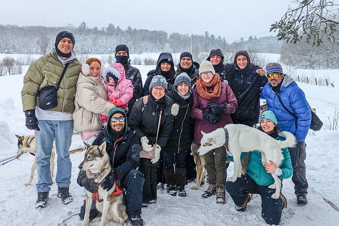 1 ultimate dog sledding tour day trip from ottawa gatineau Ultimate Dog Sledding Tour - Day Trip From Ottawa & Gatineau