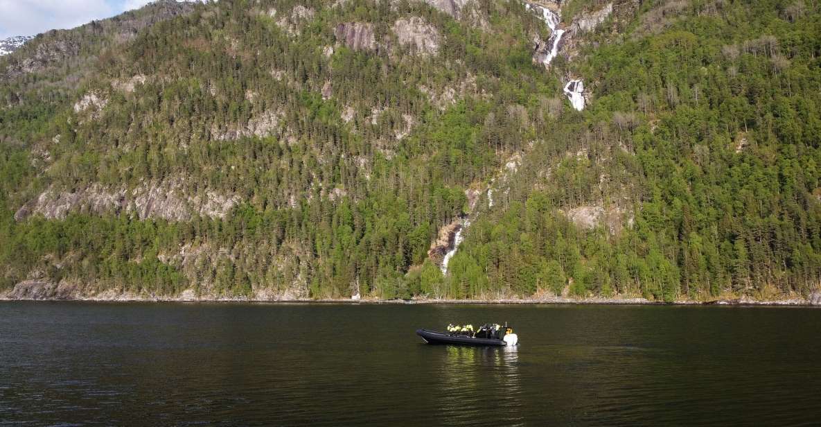 Ulvik Fjord Cruise: Scenic RIB Adventure to Osafjord