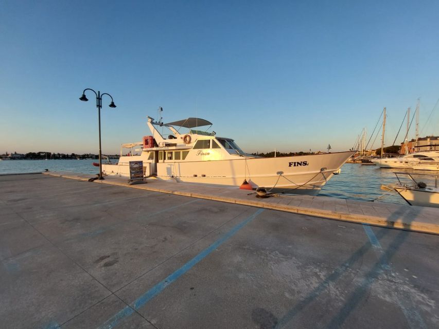 1 umag sunset cruise with dolphin spotting Umag: Sunset Cruise With Dolphin Spotting