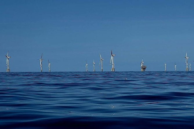 Unforgettable Sea Trip to the Wind Farms in the North Sea