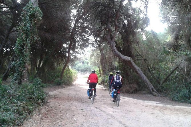 1 valencia bike or segway tour Valencia Bike or Segway Tour