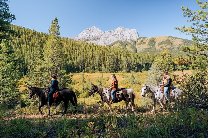 Valley Vista 1.5 Hour Horseback Trail Ride in Kananaskis