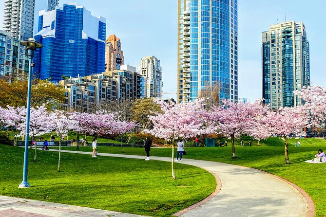 Vancouver City Tour With Cherry Blossom Festival Private