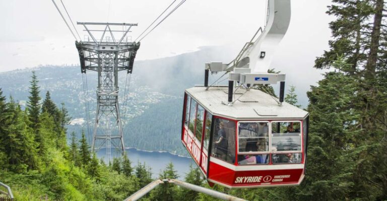 Vancouver: Grouse Mountain Express Tour With Skyride