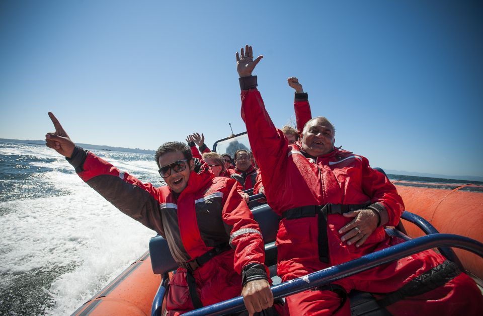 1 vancouver howe sound fjords sea caves wildlife boat tour Vancouver: Howe Sound Fjords, Sea Caves & Wildlife Boat Tour