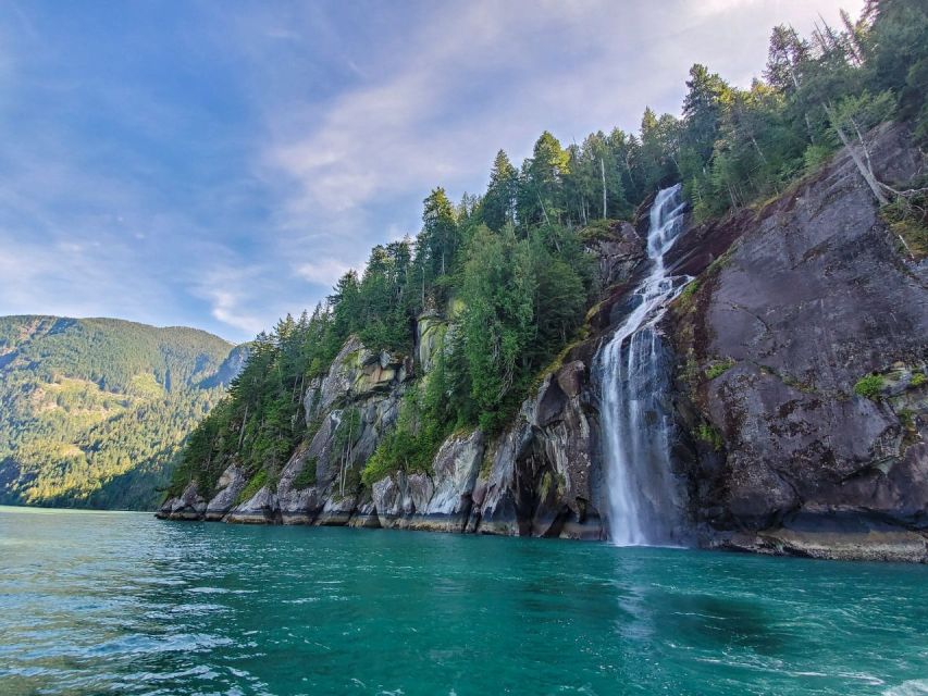 Vancouver Island: Full-Day Grizzly Bear Tour at Toba Inlet