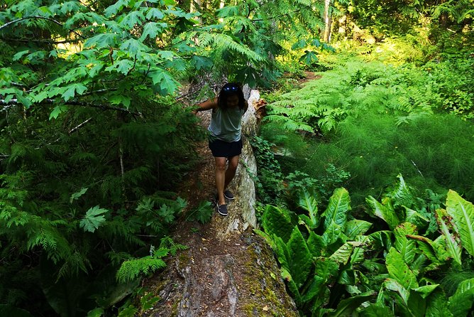 Vancouver Island Rainforest Guided Hike With Private Guide