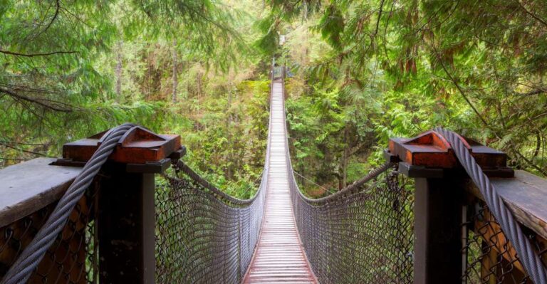 Vancouver: Lynn Valley Suspension Bridge & Nature Walk Tour