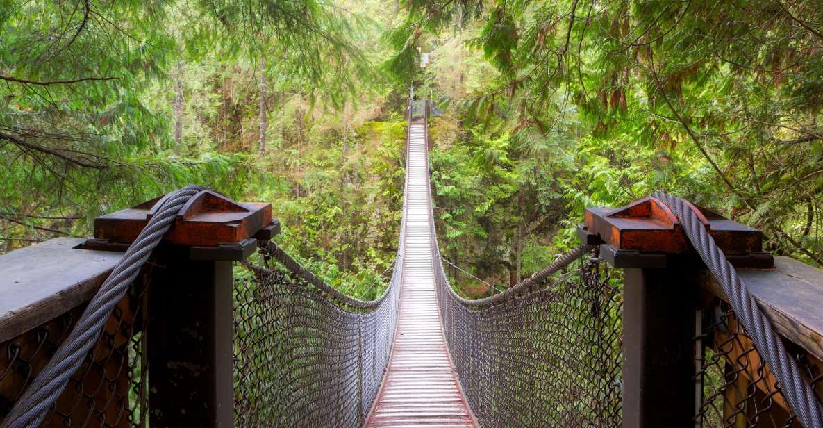 1 vancouver lynn valley suspension bridge nature walk tour Vancouver: Lynn Valley Suspension Bridge & Nature Walk Tour