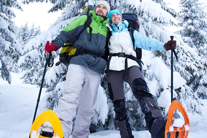 Vancouver: North Shore Mountains Small-Group Snowshoeing Tour