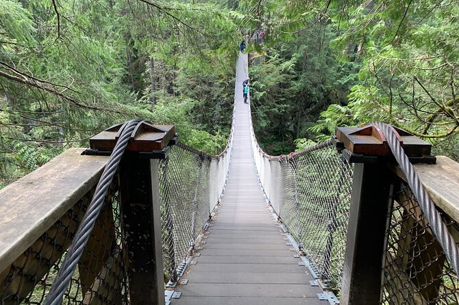 Vancouver Rainforest Hike With Waterfalls, Suspension Bridge, Old Growth Forest