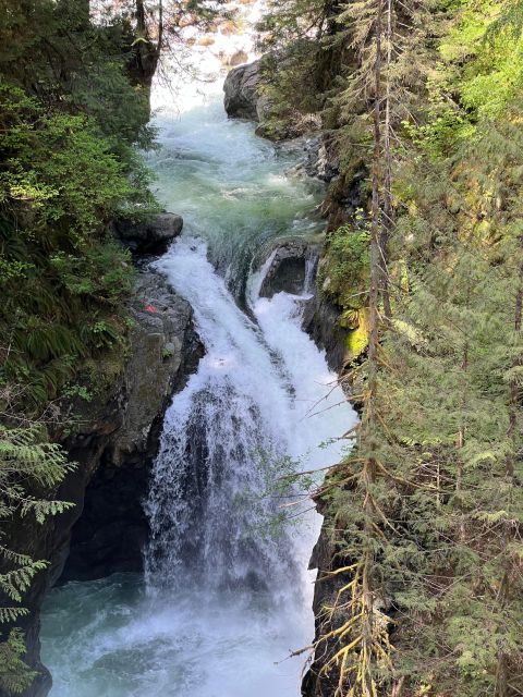 Vancouver: Rainforest Waterfall Hike and Suspension Bridge