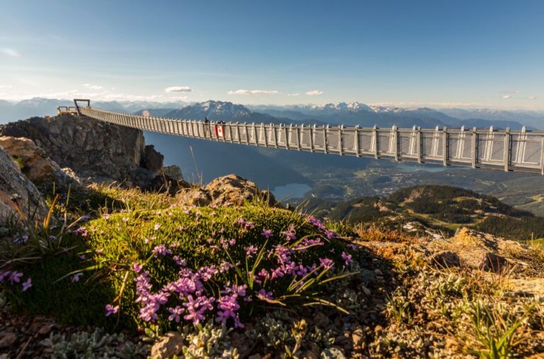 Vancouver: Sea to Sky Gondola and Whistler Private Day Trip