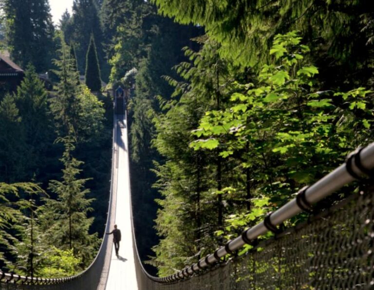 Vancouver: Small Group Tour W/Capilano & Grouse Mtn Lunch