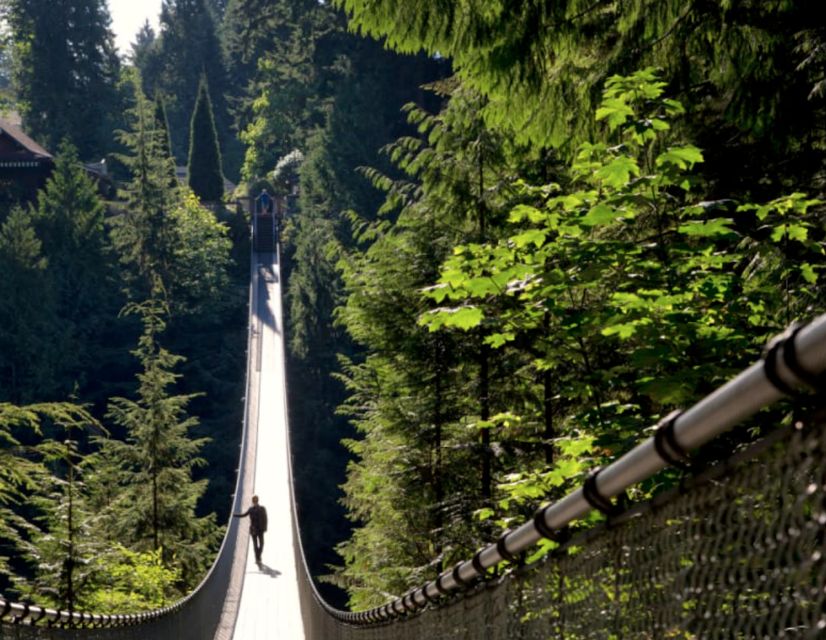 1 vancouver small group tour w capilano grouse mtn lunch Vancouver: Small Group Tour W/Capilano & Grouse Mtn Lunch