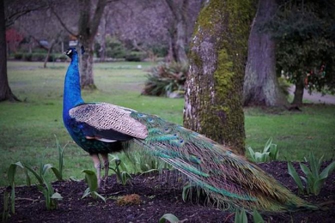 Vancouver to Victoria City With Butchart Gardens Tour