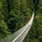 1 vancouvers finest private sightseeing tour Vancouvers Finest Private Sightseeing Tour