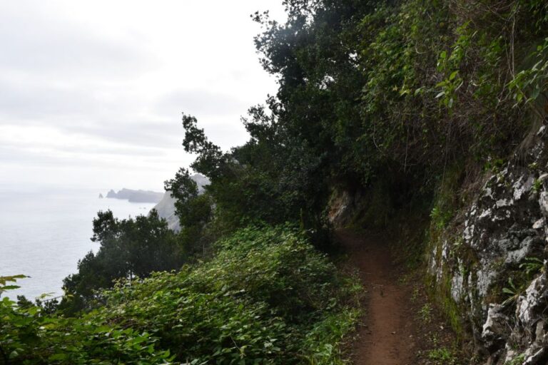 Vereda Do Larano (Larano Hike) by Overland Madeira