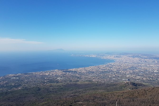 Vesuvius: Half Day Trip From Naples