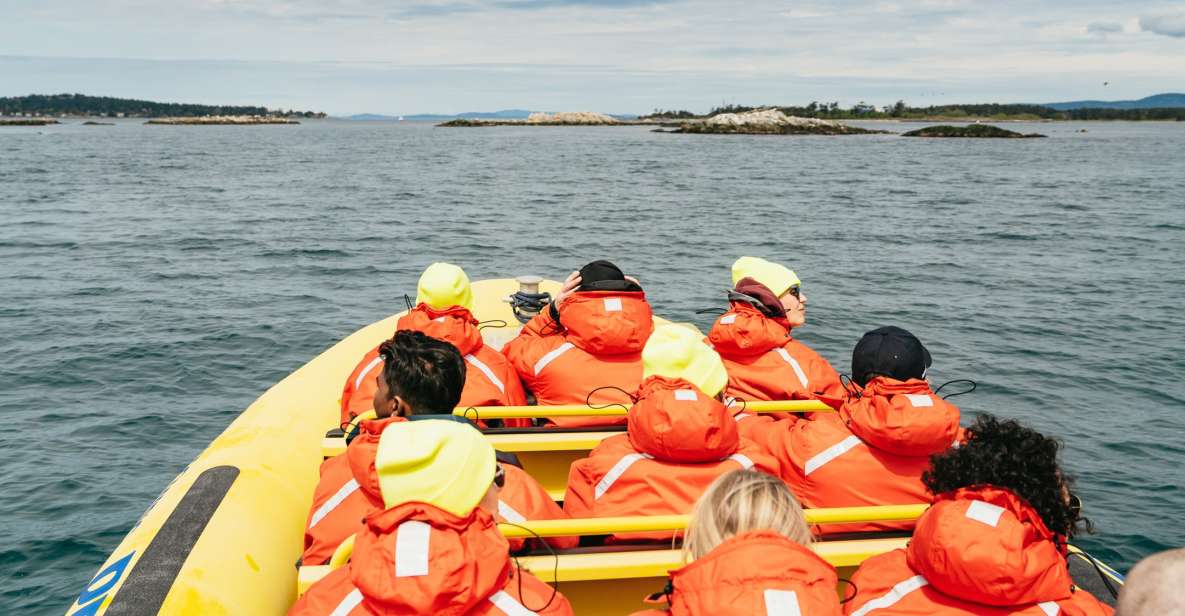 1 victoria 3 hour whale watching tour in a zodiac boat Victoria: 3-Hour Whale Watching Tour in a Zodiac Boat