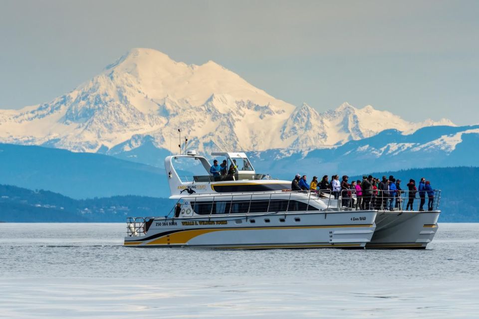 Victoria: Guided Whale and Wildlife-Watching Cruise