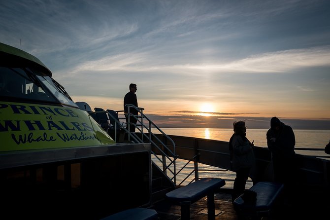 1 victoria sunset whale watching catamaran sailing tour Victoria Sunset Whale-Watching Catamaran Sailing Tour