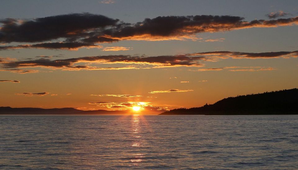 1 victoria sunset whale watching tour on semi covered boat Victoria: Sunset Whale Watching Tour on Semi-Covered Boat