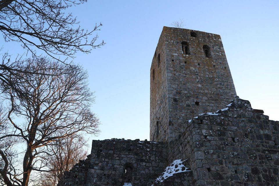 Viking History Day Tour to Sigtuna, Uppsala and Countryside - Tour Highlights and Activities