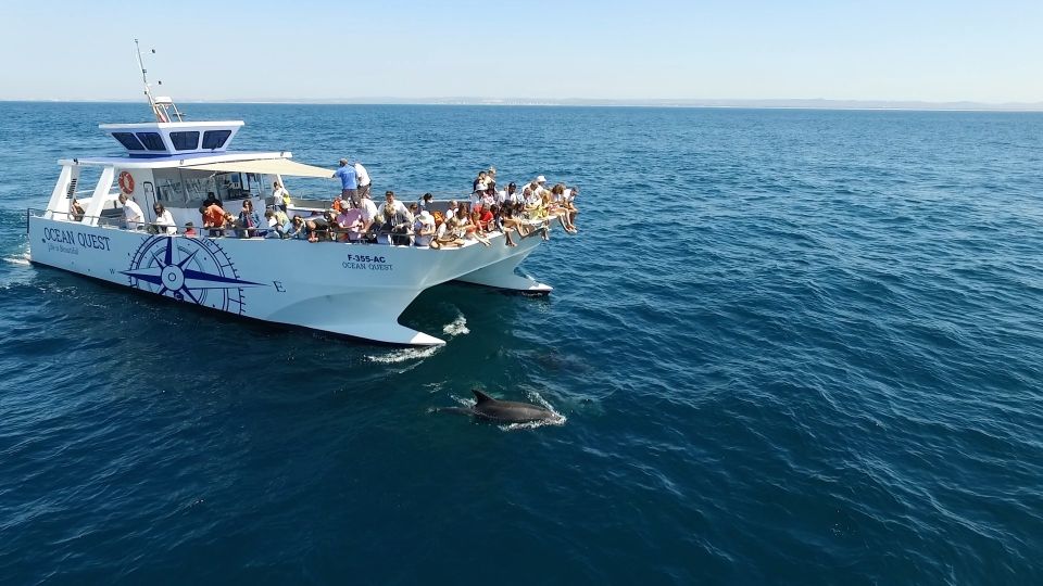 1 vilamoura boat tour dolphin quest Vilamoura: Boat Tour Dolphin Quest