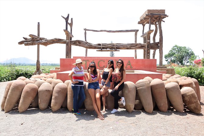 Vineyard & Buggy Tour in Huacachina / 1 Day Tour From Lima