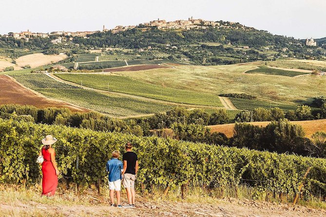 Vino Nobile Di Montepulciano Wine Tour – Meet the Producers