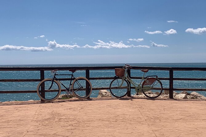 Vintage Style Bike Rental in Malaga