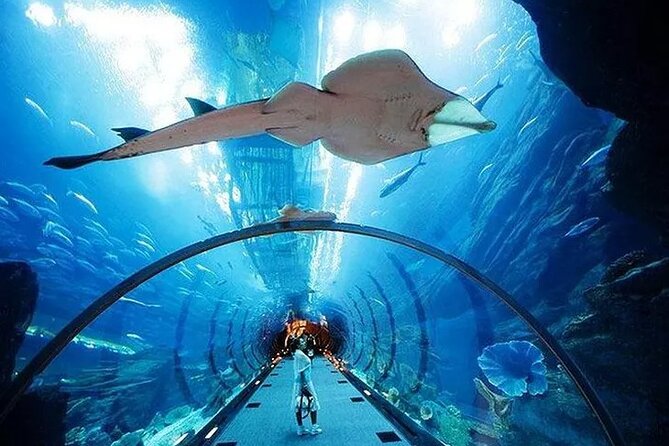 VIP Experience Dubai Aquarium & Underwater Zoo-As per Selection