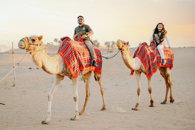 VIP Platinum Desert Safari Dubai – ICL Lama Tourism