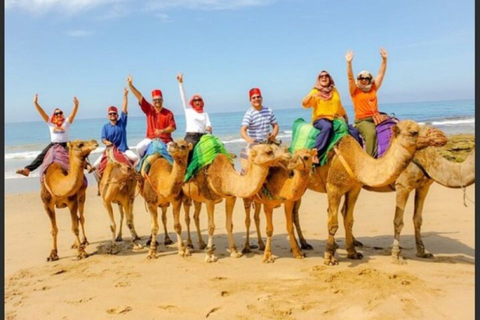 1 vip private tangier tour from seville with ali all included Vip Private Tangier Tour From Seville With Ali All Included