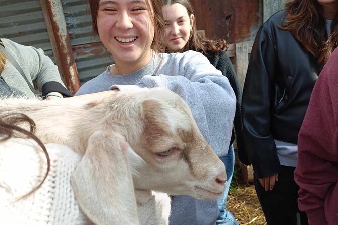 Visit a Goat Farm in a Village and Taste Local Flavours