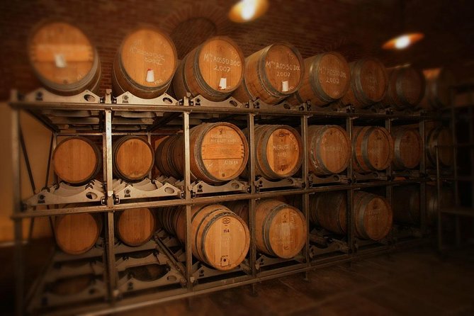 Visit Among Vineyards and Wine Cellar With Wine Tasting in Nizza Monferrato
