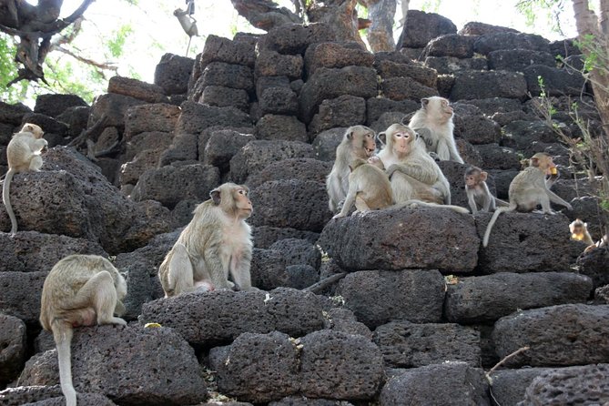 Visit of Lopburi, the Monkeys City, From Bangkok With Your English-Speaking Guide