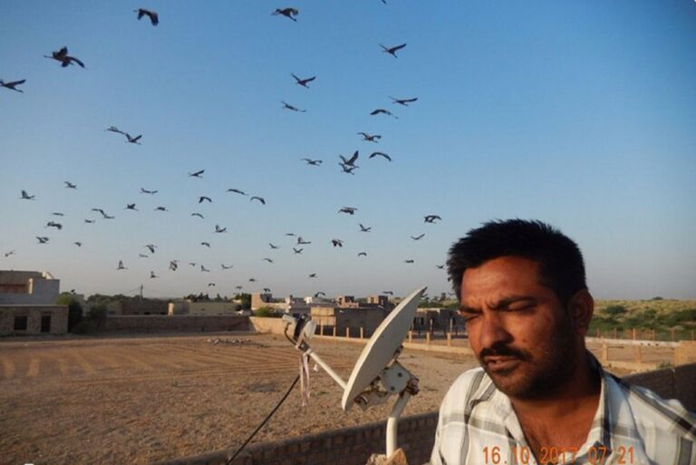 Visit Osian and Khichan With Jaisalmer Drop From Jodhpur