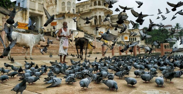Visit Pushkar From Jaipur With Jodhpur Drop Without Guide