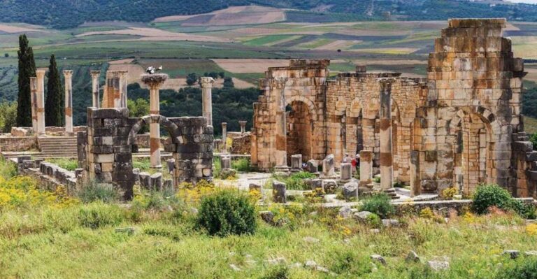 Volubilis: Day Trip From Fez to Volubilis and Meknes