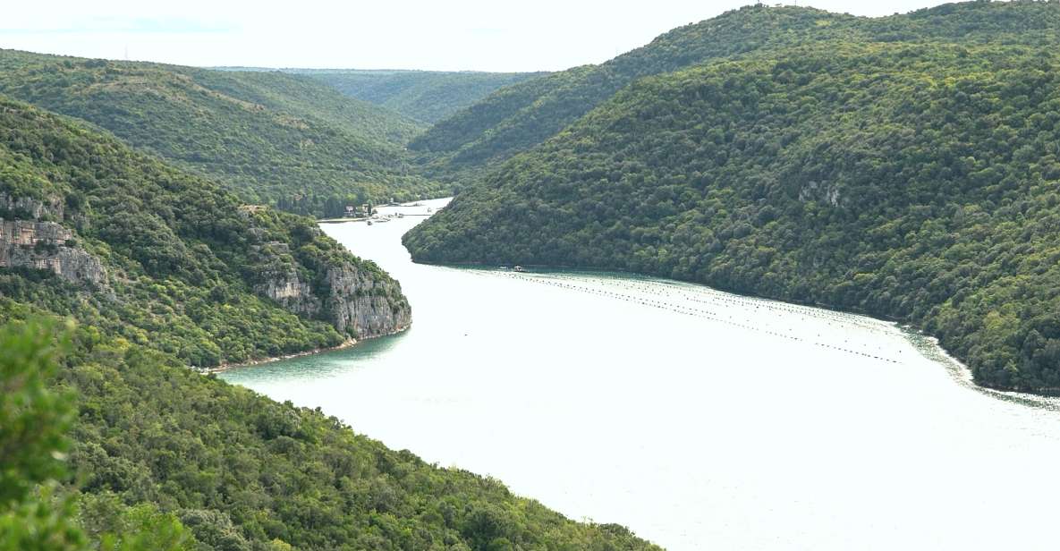 Vrsar: Lim Fjord Boat Tour With Swimming Near Pirate's Cave - Activity Details