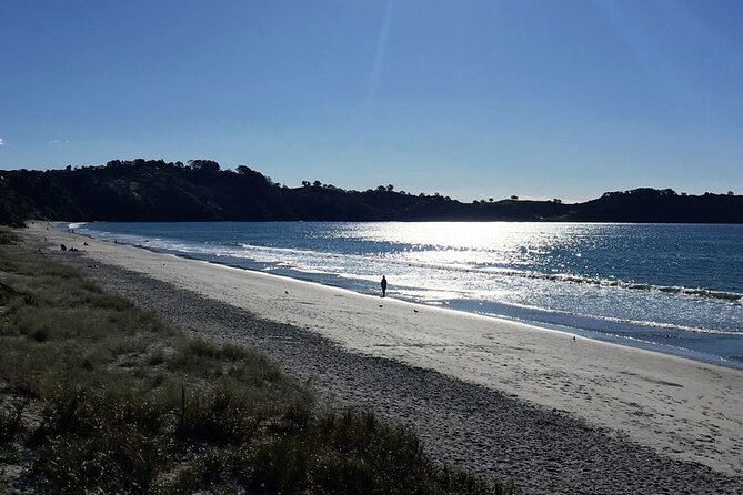 Waiheke Island Private Bush And Beach Walk