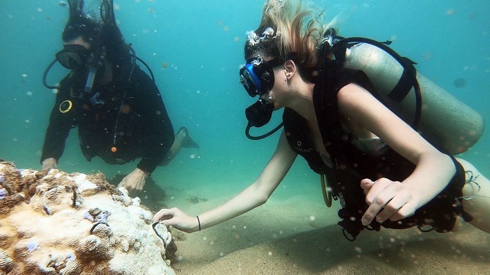 1 waikiki honolulu beginner scuba diving with videos Waikiki: Honolulu Beginner Scuba Diving With Videos