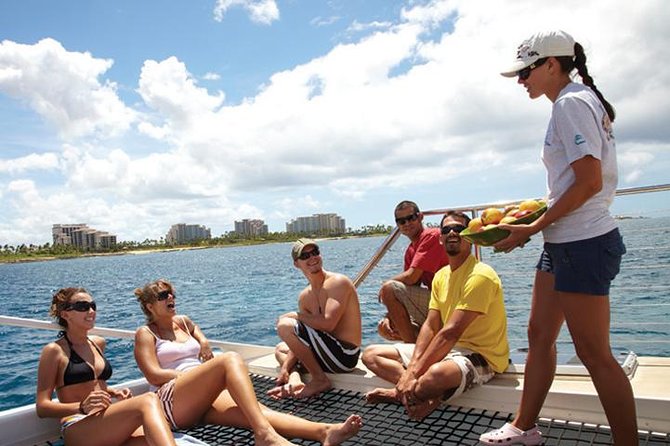 Waikiki Panorama Sail Search for Hawaiian Sea Turtles